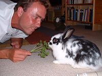 Utas Karnickel Diogenes mag gerne Petersilie