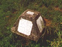 Verwitterter Wegepilz in Heiden