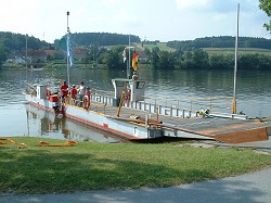 Donauf&auml;hre bei Sandbach